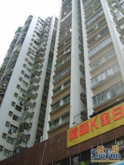 金城大厦 户型方正 客厅出阳台 每个角落都有光线 满两年