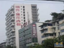 莲花逸都 1室1厅 东南