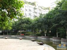 业主诚心出售,户型方正,小区安静绿化好,带露台