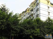 小区安静,小区环境很好,交通便利,购物也方便