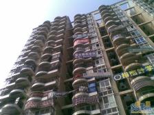 南坪 城市星座(南岸)一房