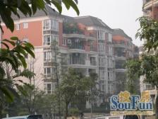 端户!端户!品质洋房,前后中庭,业主诚心满两年