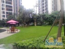 房屋满2年,业主诚心卖,楼层好