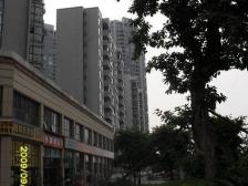 风临洲洋房,环境清幽,采光好,住家安静,户型方正。