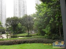 洋房顶跃 带露台带花园 单价低 业主诚心