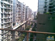 电梯房 少有的清水顶跃户型 带屋顶花园