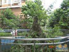 南坪商圈精装两室,价格美丽,拎包入住