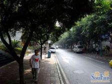 正规两房 单价便宜 出行方便 近珊瑚