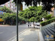 金紫街 2室1厅 南 北