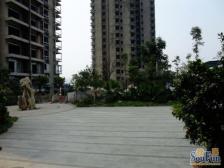 南滨路一线江景大3房 业主急售 单价1万正看鹅公岩大桥