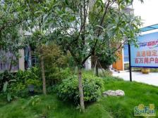 经开区 江南世家三房83万