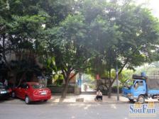 金山支路 4室2厅 南