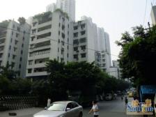 南岸 金山支路 正规两房 诚心售 可看房