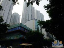 南坪 金山支路三房81万