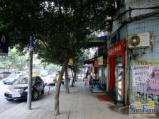 金山支路 2室2厅 东