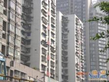 城南花园 3室1厅 北