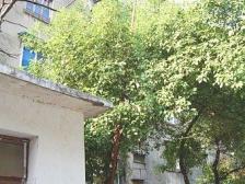 上海路住宅小区6楼2室2厅诚心出售