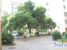 曙光小区 南北通透,采光好 装修好,环镜优美 视野好,诚心出售