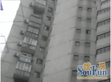 无遮挡高区景观视野好