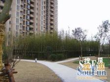 电梯房高楼层,采光视野好,南北通户型近地铁3号线