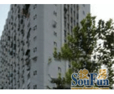 梧桐树下巨鹿路低总价低单价电梯房