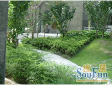 2000年花园小区双南阳台带私家露台的3房点我头像取
