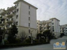 南码头 · 锦南浦**区 · 1室 · 1厅