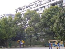 停车方便,满五年,税费少,非顶楼,采光好