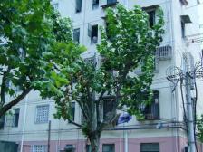 内环边90年房龄3轨交大一房欢迎咨询!