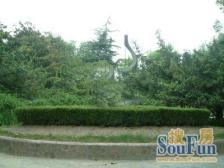 镇宁路·汤臣怡园·4室·2厅