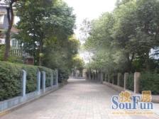 红叶别墅 成熟社区别墅 配套齐全 交通方便