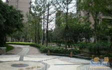 派克公馆 1室1厅 东南