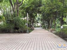 观音桥 邦兴渝珠花苑四房185万