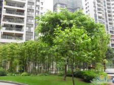 业主诚心出售,配套齐全,交通方便,天台岗