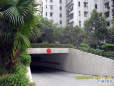 南坪步行街万达商圈+十号线轻轨+金山路珊瑚+业主诚心