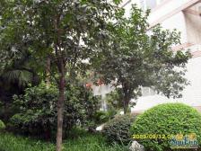 南坪商圈.轻轨大三室二厅,楼层视野采光好,出行方便