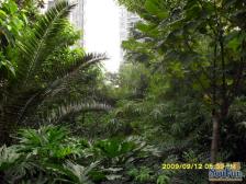 光电路 刘家花园二房53万