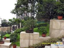 刘家花园 3室1厅 南