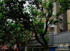诚意出售,价格可谈