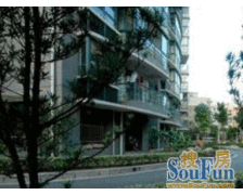 得房率高,大开间,交通便利,采光充足