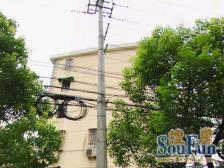 洋泾·阳光三村·2室·1厅