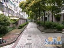 椰泰公寓 3室1厅 南