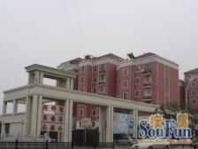 近区政府,别墅+高层小区,前排视野好,大平层总价低