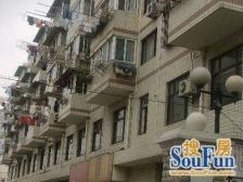 交通便利,环境优美,精装好房,售后公房