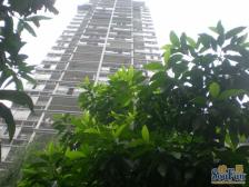 康居浩月 2室1厅 东南