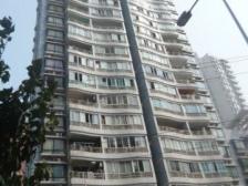 浦辉海棠晓月E区 1室1厅 南 北