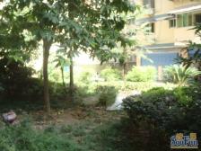 回兴双轻轨,出入方便,业主诚心卖房单价便宜