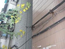 南坪东路永辉旁,楼层好户型方正,安心卖