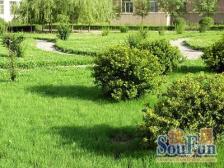 万龙新村 2室2厅 南