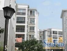 新洲豪园 3房电梯户型 随时看房 商品房税费各付